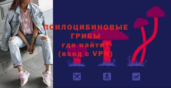 дурь Дмитриев