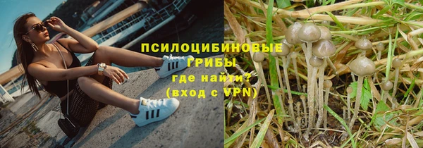 твердый Дмитров