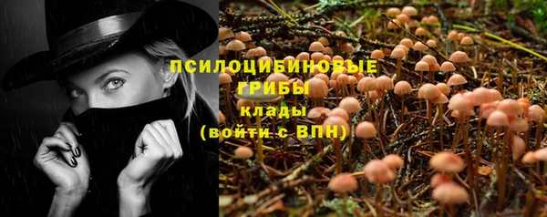 твердый Дмитров