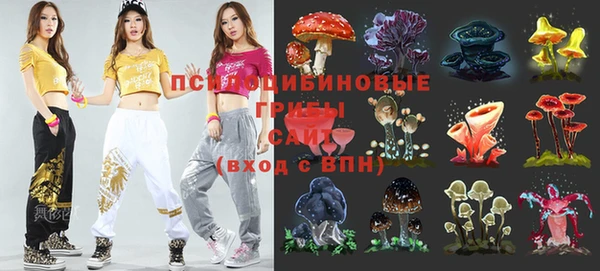 дурь Дмитриев