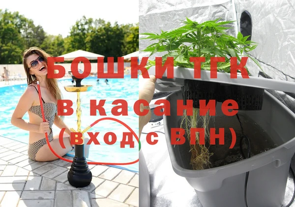 дурь Дмитриев